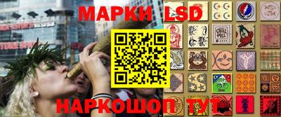 амф Ярославль