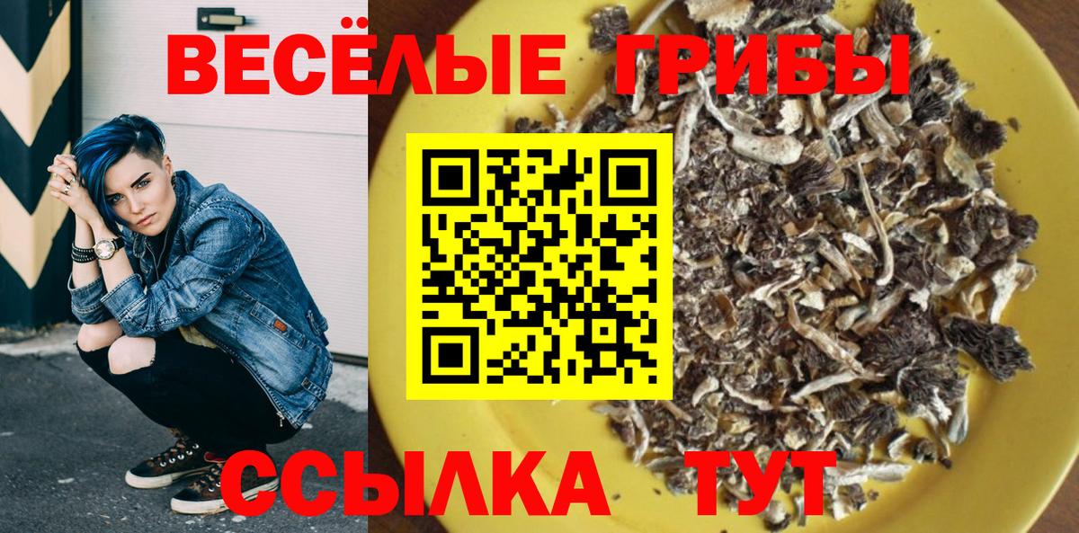 Нововоронеж  Псилоцибиновые грибы MAGIC MUSHROOMS  Вход с VPN 
